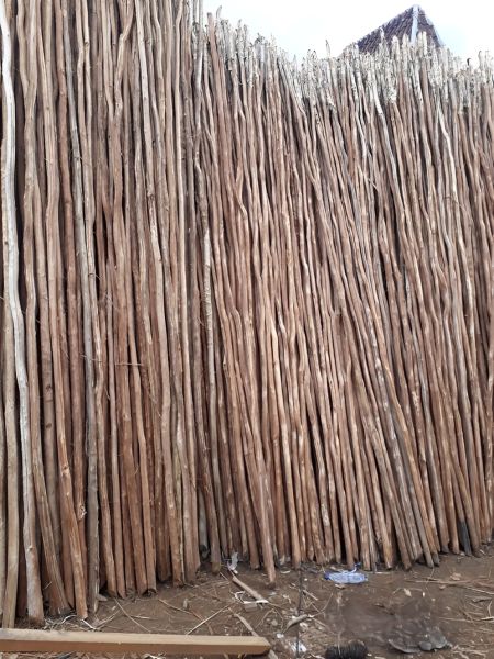 distributor kayu galam