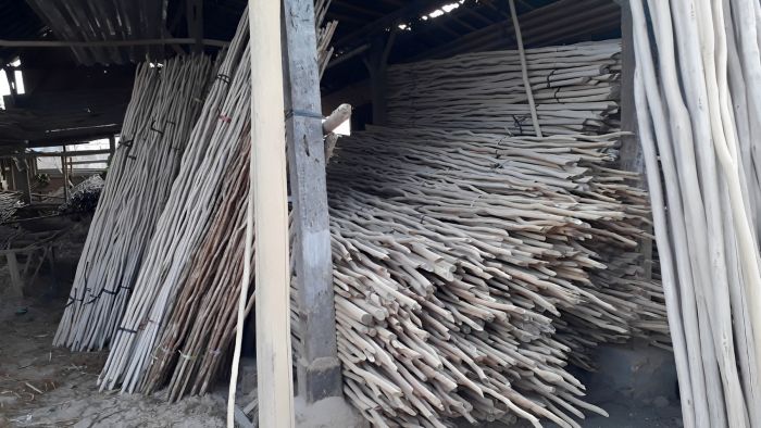 Kayu Galam Terbaik Desain Café dan Villa
