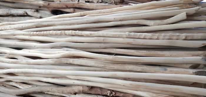 Tempat Jual Kayu Galam di Bali